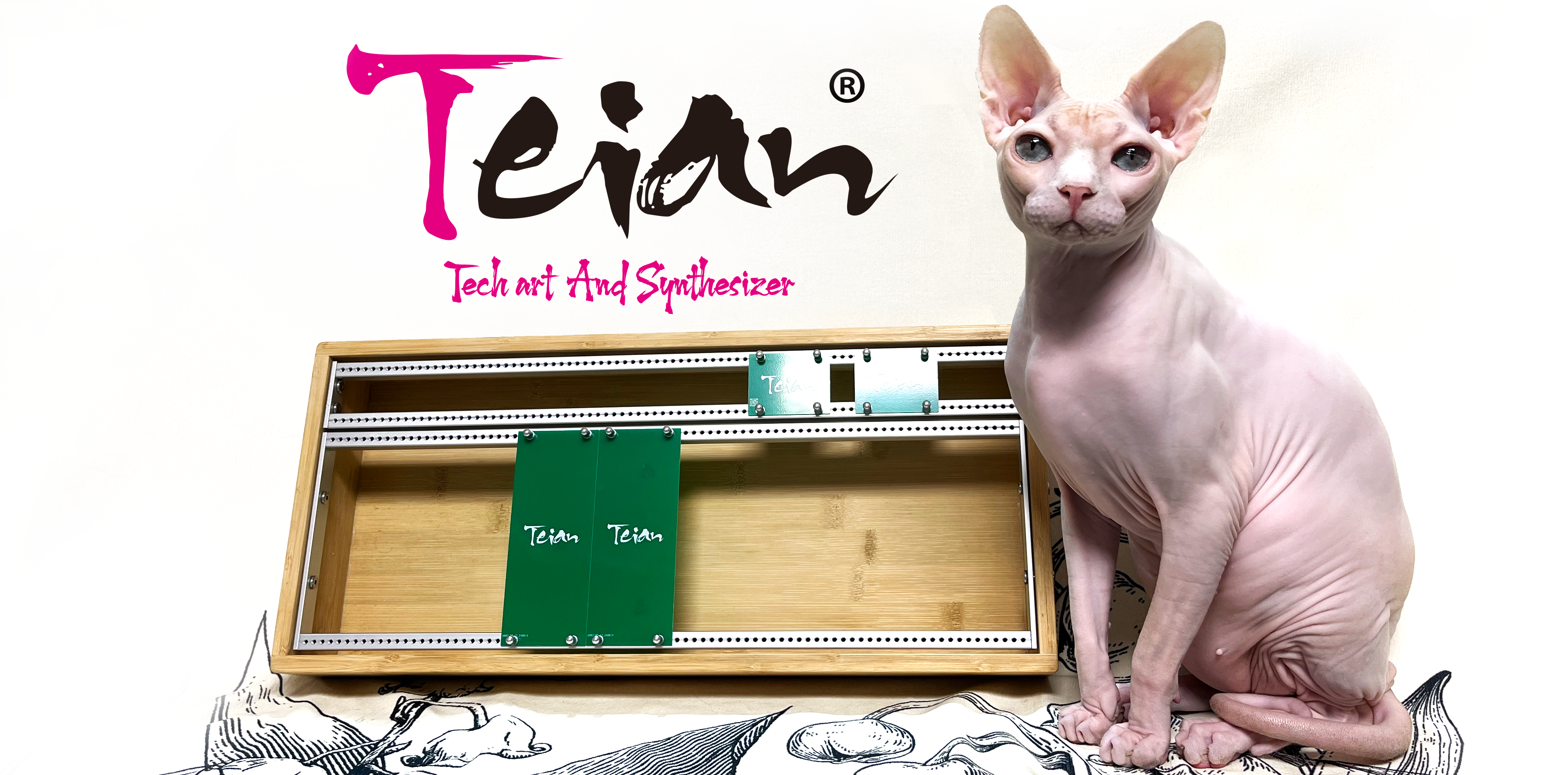 Teian｜Technology Art And Synthesizer Global community